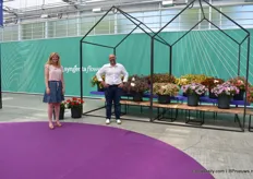 Marleen van Balkom and Olivier Clisson, Head of Sales in Europe, in front of the Fun House series, Syngenta’s new breading breakthrough, Clisson says. Special about this series are the unusual varieties and color patterns and the ability to change color.